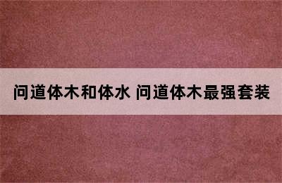 问道体木和体水 问道体木最强套装